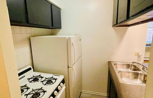 Studio, 1 bath, 450 sqft, $1,425, Unit 535-450