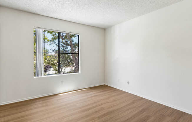 Bedroom with Hard Surface Flooring