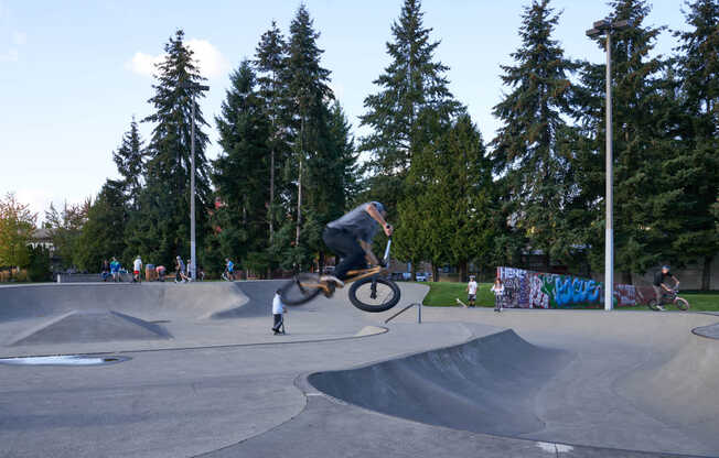 Enjoy the exciting park spaces throughout Redmond.
