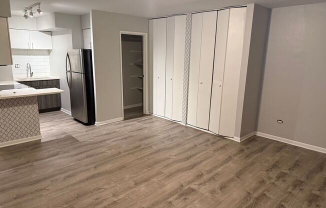 Studio, 1 bath, $1,450, Unit 105