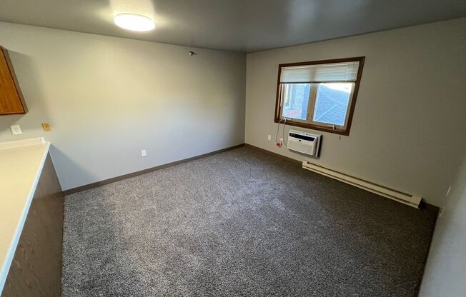 1 bed, 1 bath, 1 sqft, $995, Unit 1038 Fond du Lac Ave Unit 207