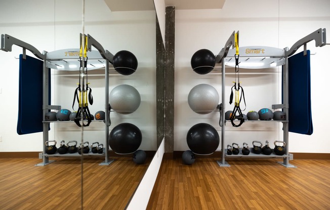 a gym with exercise equipment and balls on the wall  at The Lady, South Carolina, 29201