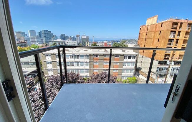 Harvard Vista