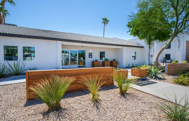 a large wooden bench sits in the front yard of a white building with palm trees in the