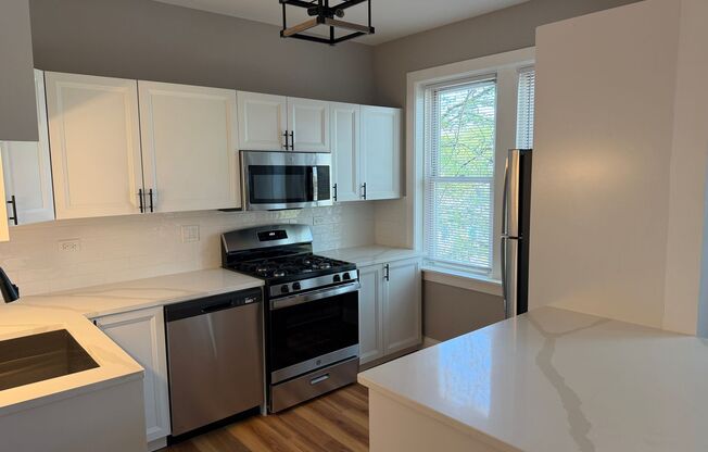 Albany Park Apartments!