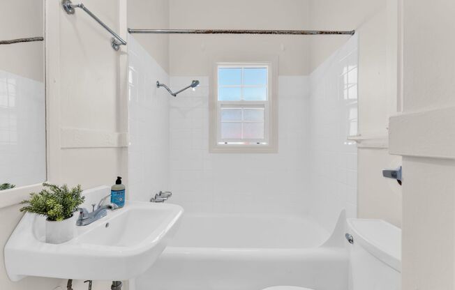 Studio, 1 bath, $2,095, Unit 224