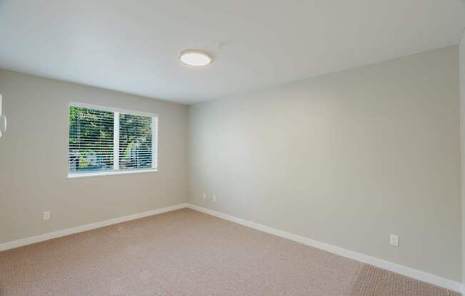 A room with a window and a carpeted floor.
