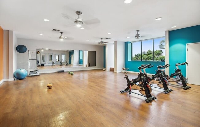 Yoga and workout space