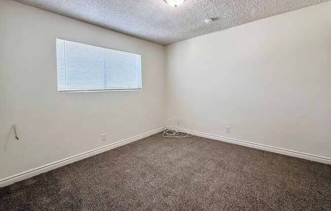 Cypress St. - 474 GOLD