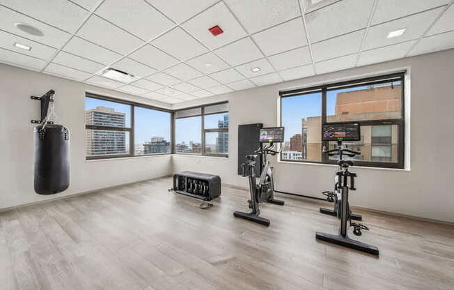 A gym with a punching bag, treadmill, and other exercise equipment.