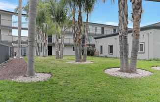 Palm trees in front of apartment buildings.