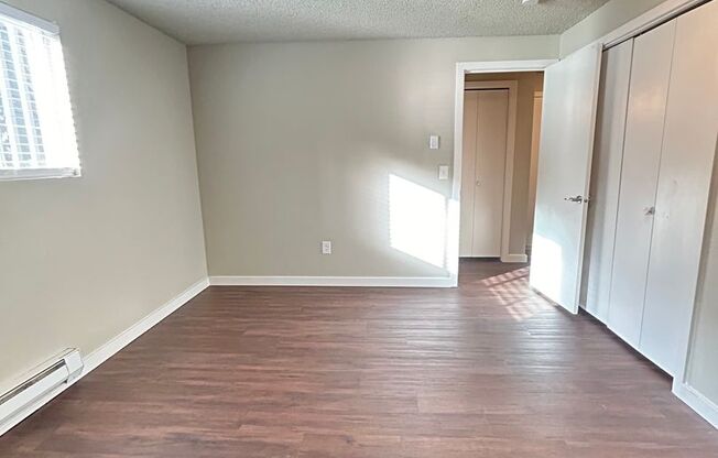 1 bed, 1 bath, 660 sqft, $1,599, Unit 203