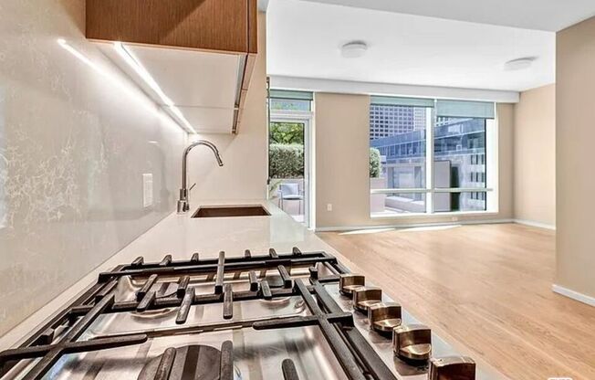 Studio, 1 bath, 518 sqft, $2,500, Unit 505