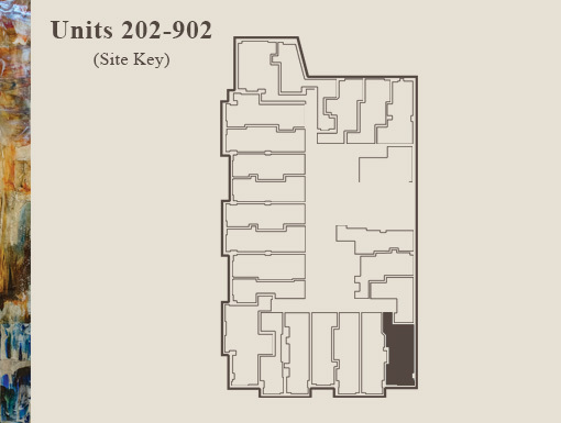 1 bed, 1 bath, $2,600, Unit 202
