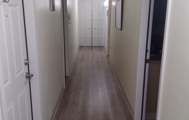 Studio, 1 bath, 212 sqft, $790, Unit 154506