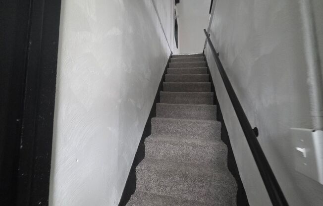 Updated 1 bedroom 1 bath for rent in Arlington!