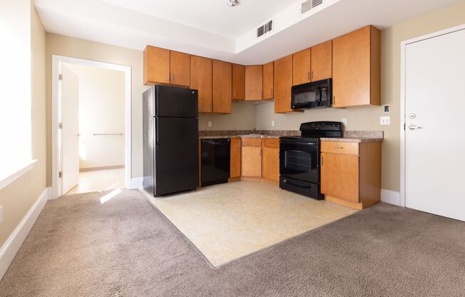 1 bed, 1 bath, 442 sqft, $999, Unit 902