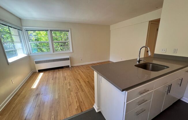 1 bed, 1 bath, 606 sqft, $1,495, Unit 308