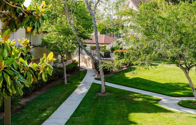 A tree-lined pathway in a well-maintained garden.