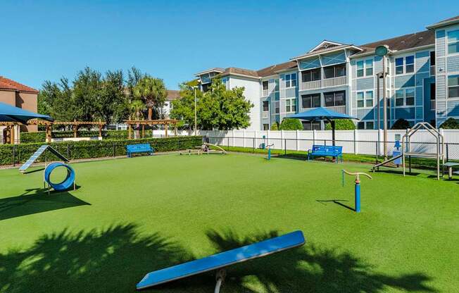 Wide dog park view with seesaw, tunnel and shaded seating