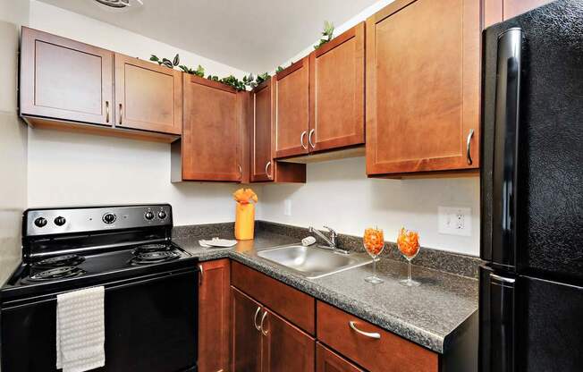 A kitchen with black appliances and wooden cabinets.