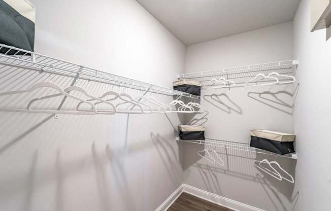 Closet Area at The One at Spartanburg, Spartanburg