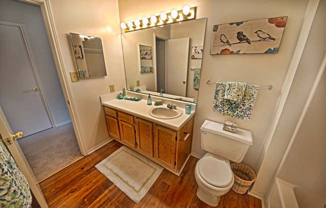 Waterford Square Apartments Bath Room in Huntsville, AL