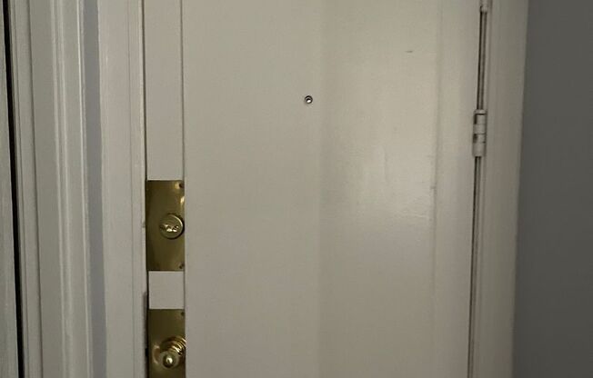 Studio, 1 bath, 240 sqft, $1,255, Unit 102