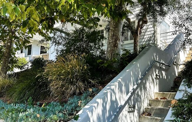 3003 3rd Street