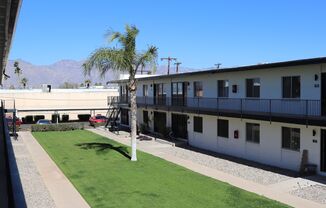 Palms on 2nd Apartments