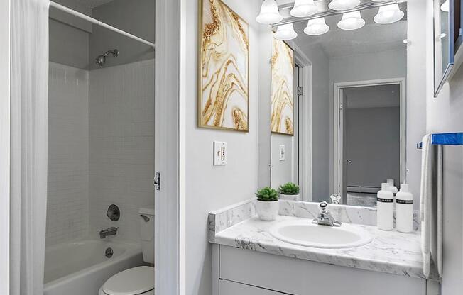 a bathroom with a sink and a toilet and a mirror at Troy Place Apartments - Troy, MI, Michigan