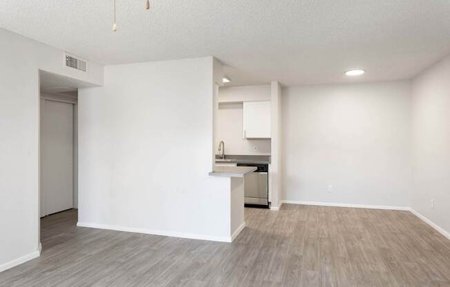 A kitchen area with a countertop and cabinets is visible.
