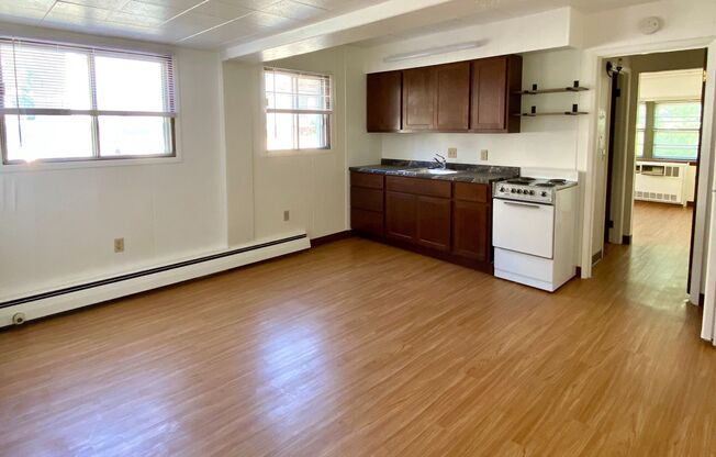 1 bed, 1 bath, 450 sqft, $1,250, Unit 112