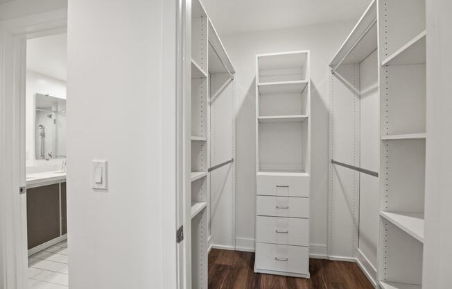 Master Bedroom Walk-In Closet with Built-In Organizers