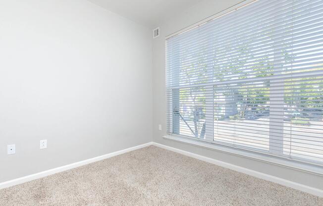 A bright, empty room with light gray walls and a large window covered by white blinds. The floor is carpeted with a light beige shade, and there are two electrical outlets on one wall. Natural light fills the space, creating an inviting atmosphere.