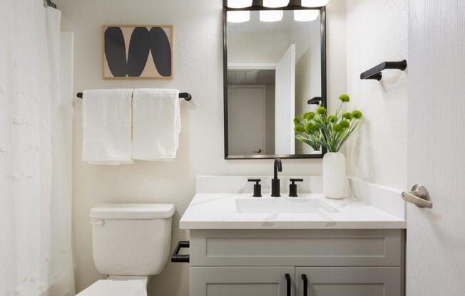 a bathroom with a sink and a toilet and a mirror