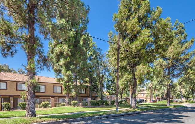 a street in front of an apartment building with trees