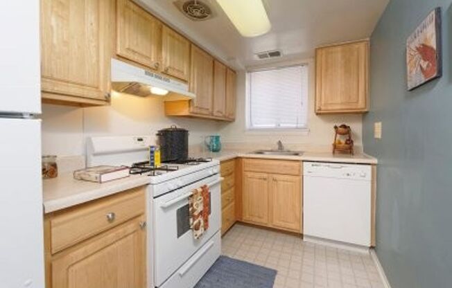 2 beds, 1 bath, 730 sqft, $1,205, Unit 4603-B