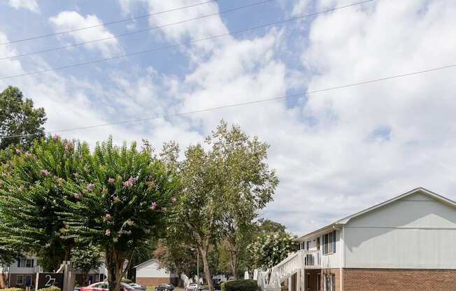 A tree with pink flowers is in front of a white house.
