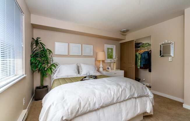 a bedroom with beige walls and a large bed with a white comforter