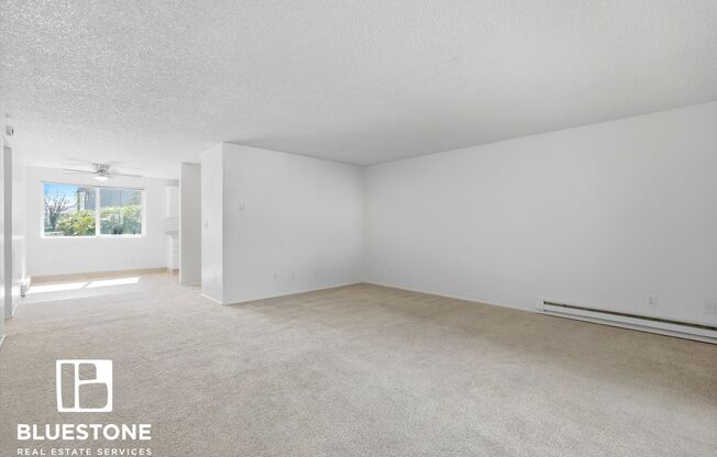 2 beds, 1 bath, 1,000 sqft, $1,325, Unit 31