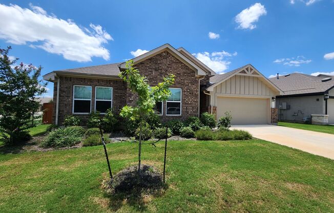 Veramendi Subdivision/ Community Parks & Pool/ Large House / Tons of Amenities / NBISD