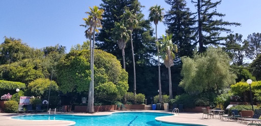 Spacious 2-bed 2-bath condo now available at Shelter Creek