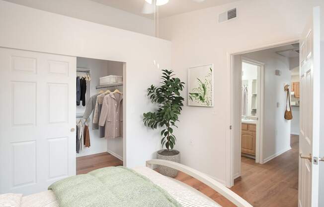 a bedroom with a bed and a closet with a plant