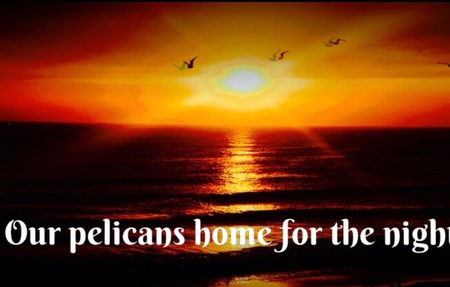 1 bed, 1 bath, 550 sqft, $2,395, Unit A31