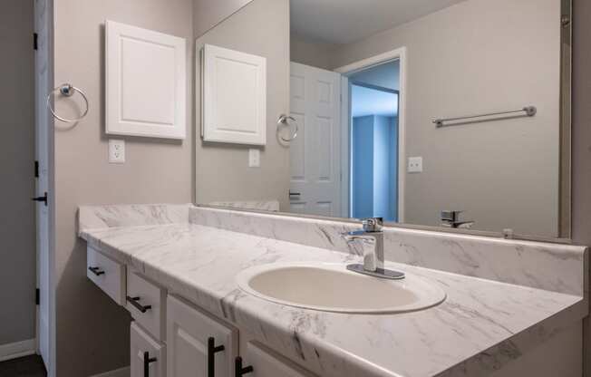 a bathroom with a sink and a large mirror