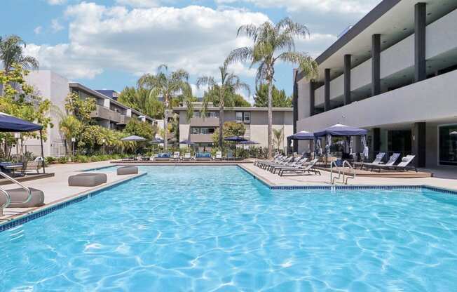 the swimming pool at the resort at longboat key club