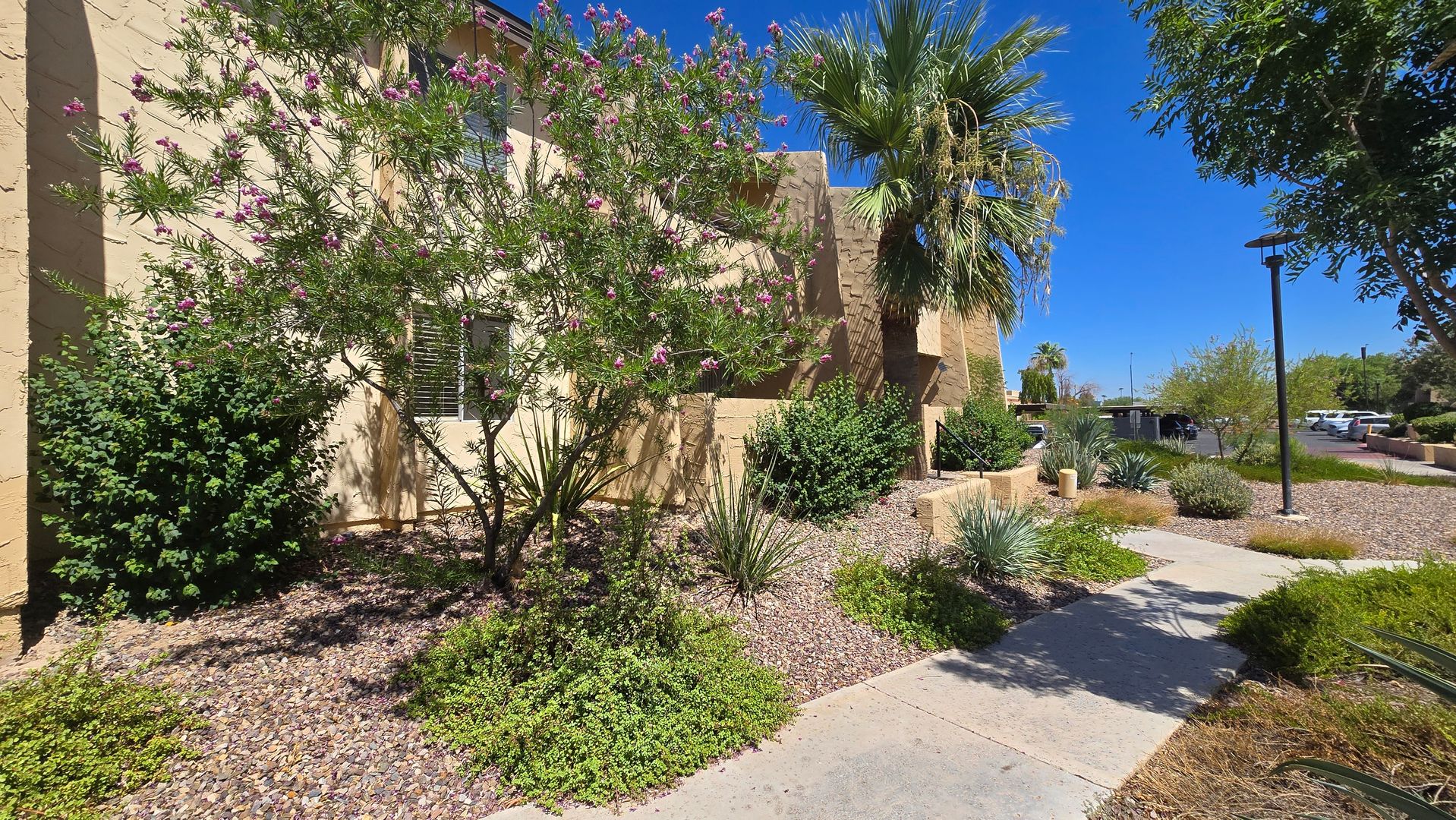 Pleasant 2b/2ba Condo in Wonderful South Scottsdale