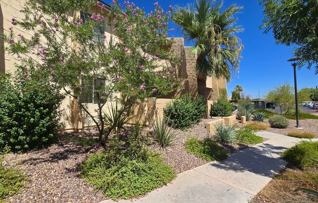 Pleasant 2b/2ba Condo in Wonderful South Scottsdale