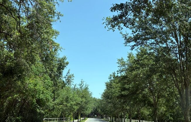 Stunning 6-Bedroom Pool Home in Desirable Westfield Lakes – Winter Garden, FL